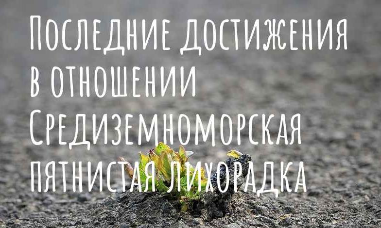 ����������������� ���������: ������������ � �������