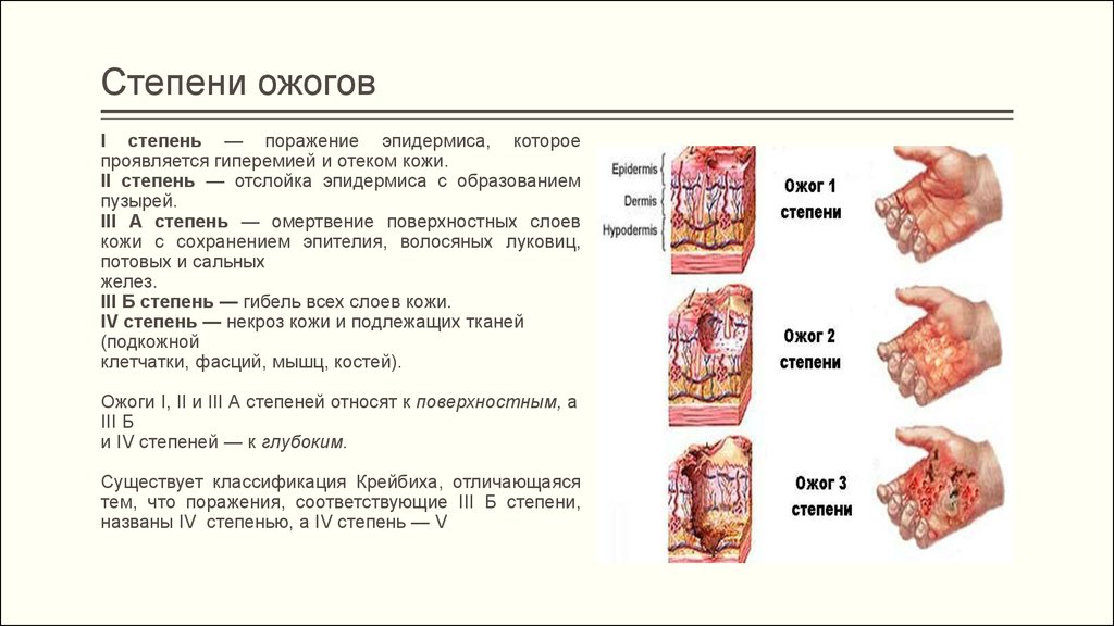 ���� ������ � ������ �� �������