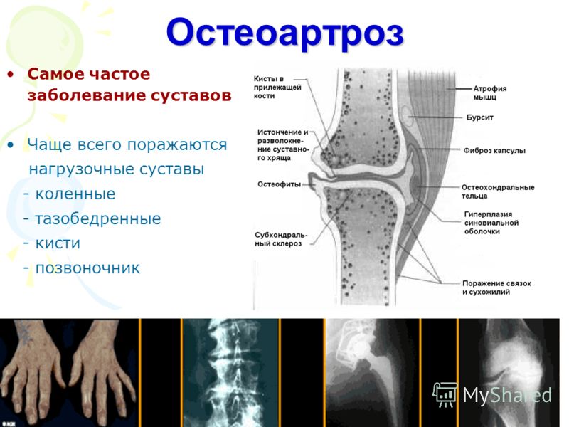 ����� ���������������� ����������� ��������