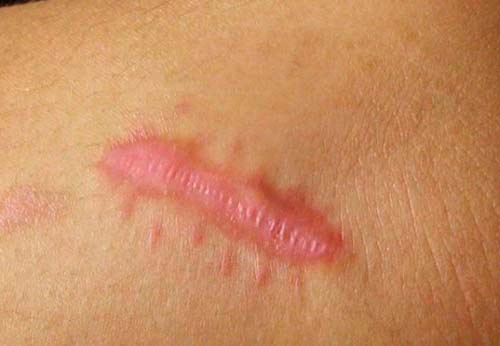 ��������� �����: ������� ������������ � ������ �������